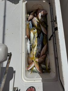 Two fishing rods with text 'Best, great' against Florida backdrop