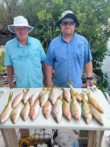 Five fish caught while fishing in Little Torch Key