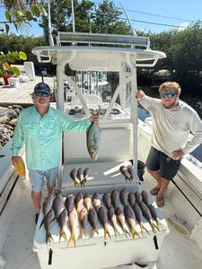 Greater Amberjack caught while fishing in FL