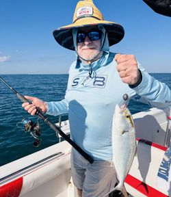 Greater amberjack caught fishing in Little Torch Key FL waters
