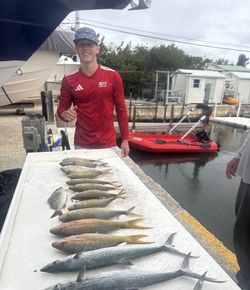 Fishing catch display showing Cero Mackerel and Yellowfin species from Little Torch Key FL with red kayak in background
