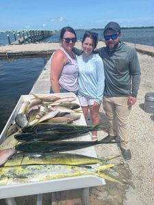 Successful fishing trip display showing multiple mahi mahi and other fish species caught in Little Torch Key FL
