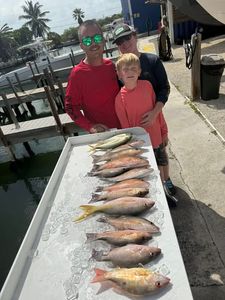Fishing catch display showing lane snapper and yellowfin with other species on ice in Little Torch Key FL