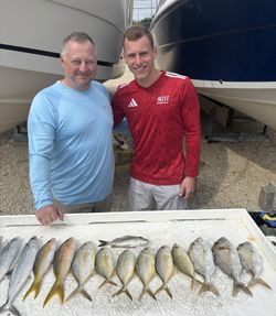 Fresh catch of yellowfin and cero mackerel displayed on cleaning table at Little Torch Key FL