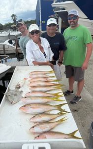 Fishing charter catch display with yellowfin and multiple fish species laid out on cleaning table at Little Torch Key FL