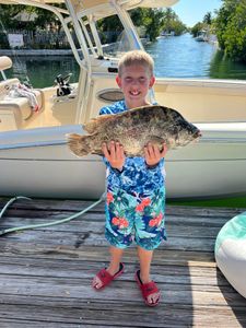 Tripletail caught in Lower Keys!