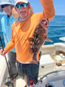 Offshore fishing in Florida, Caught a grouper