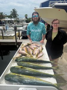Fresh caught mahi mahi displayed on ice at fishing dock in Little Torch Key FL