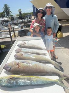 Fresh caught mahi mahi and other fish displayed on dock in Little Torch Key FL after successful fishing trip