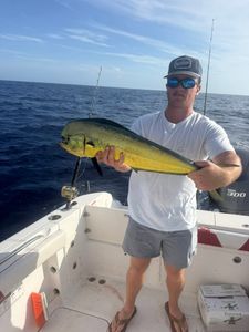 Mahi mahi catch displayed on fishing boat in Little Torch Key FL waters