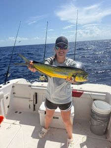 Mahi mahi catch displayed on fishing boat in Little Torch Key FL waters