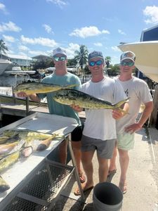 Fresh caught mahi mahi displayed at marina dock in Little Torch Key Florida