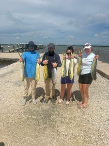 Four anglers displaying seven fresh caught mahi mahi fish on dock in Little Torch Key FL