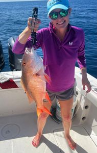 Mutton Snapper, 15 inches, fishing in FL