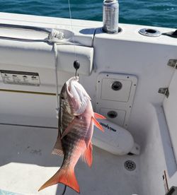 Mutton snapper caught fishing in Little Torch Key FL hanging on boat deck