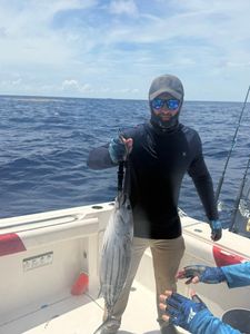 Skipjack tuna caught while fishing in Little Torch Key FL waters