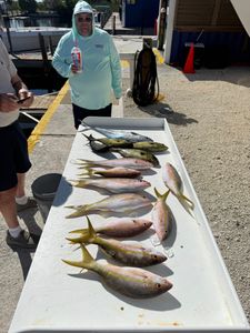 7 fish caught in Little Torch Key during fishing trip