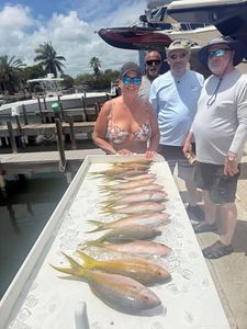 Fresh yellowfin catch displayed on cleaning table at Little Torch Key FL fishing dock