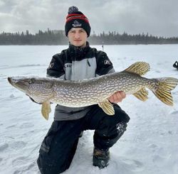 Northern Pike in the waters of Kapuskasing