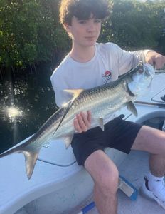 Fish-Species