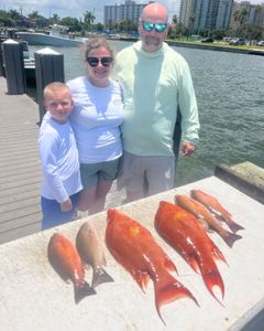 Three anglers with a catch of 3 large fish in Sarasota