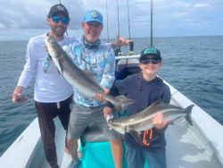 2 cobia fish caught in FL