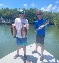 Nearshore Delights: Sarasota's Treasures