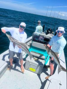 Bay Fishing Thrills Await Here