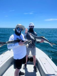 Explore Florida's Fishing Gem