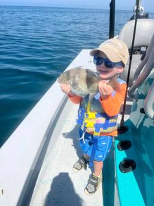 Sarasota Bay: Your Fishing Paradise