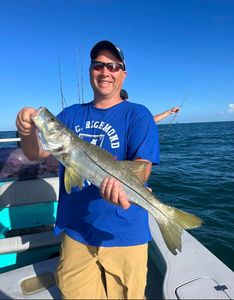 Reel in Snook and Memories, Sarasota Style