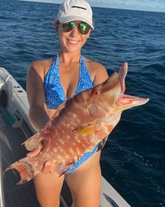 A person fishing in Sarasota