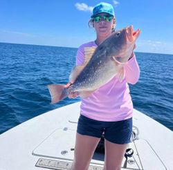 Catching a Red Grouper fish in FL