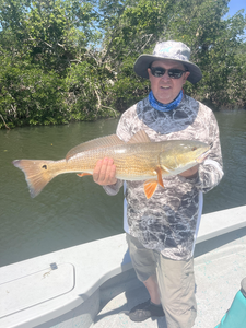 Reeling in a big redfish on a clear day in Sarasota!