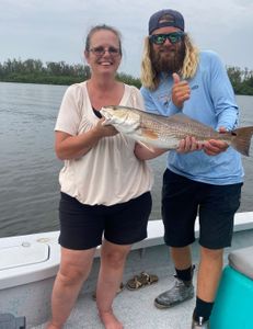 Redfish caught by two people in Sarasota during fishing