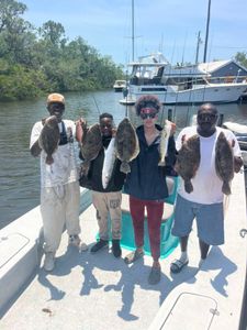 Great fishing adventure with 7 big fish caught in Sarasota