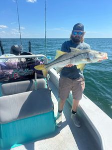 Snook caught while fishing in FL