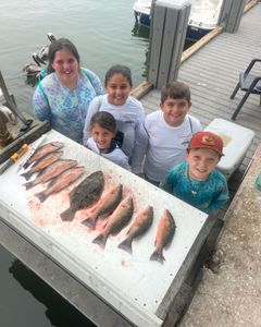 5 summer flounder fish caught in FL