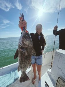 Massive Black Drum action offshore!