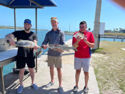 Proud Snook lineup—coastal win!