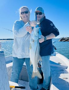 Big Florida Snook on a clear blue day.
