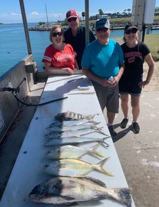 Loaded! Jack Crevalle, Mackerel & more.