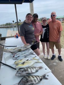Loaded table—Snook, Mackerel, Pompano, Sheepshead!