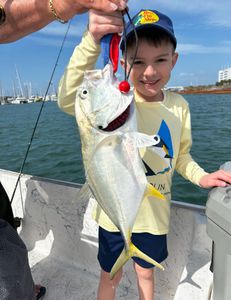 Feisty Jack Crevalle—kid powered!