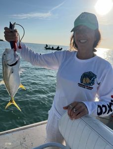 Fiery Jack Crevalle action at sunset!