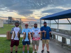 8 Grey Snapper fish caught at Port Canaveral