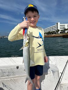 Shiny Ladyfish—kid moment!
