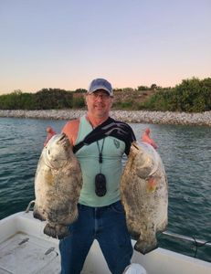 Double hook-up on monster Florida Tripletail.