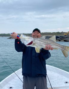 Heavy Snook—hard hit!