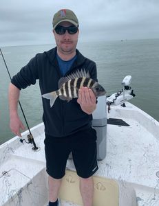 Spiky catch!